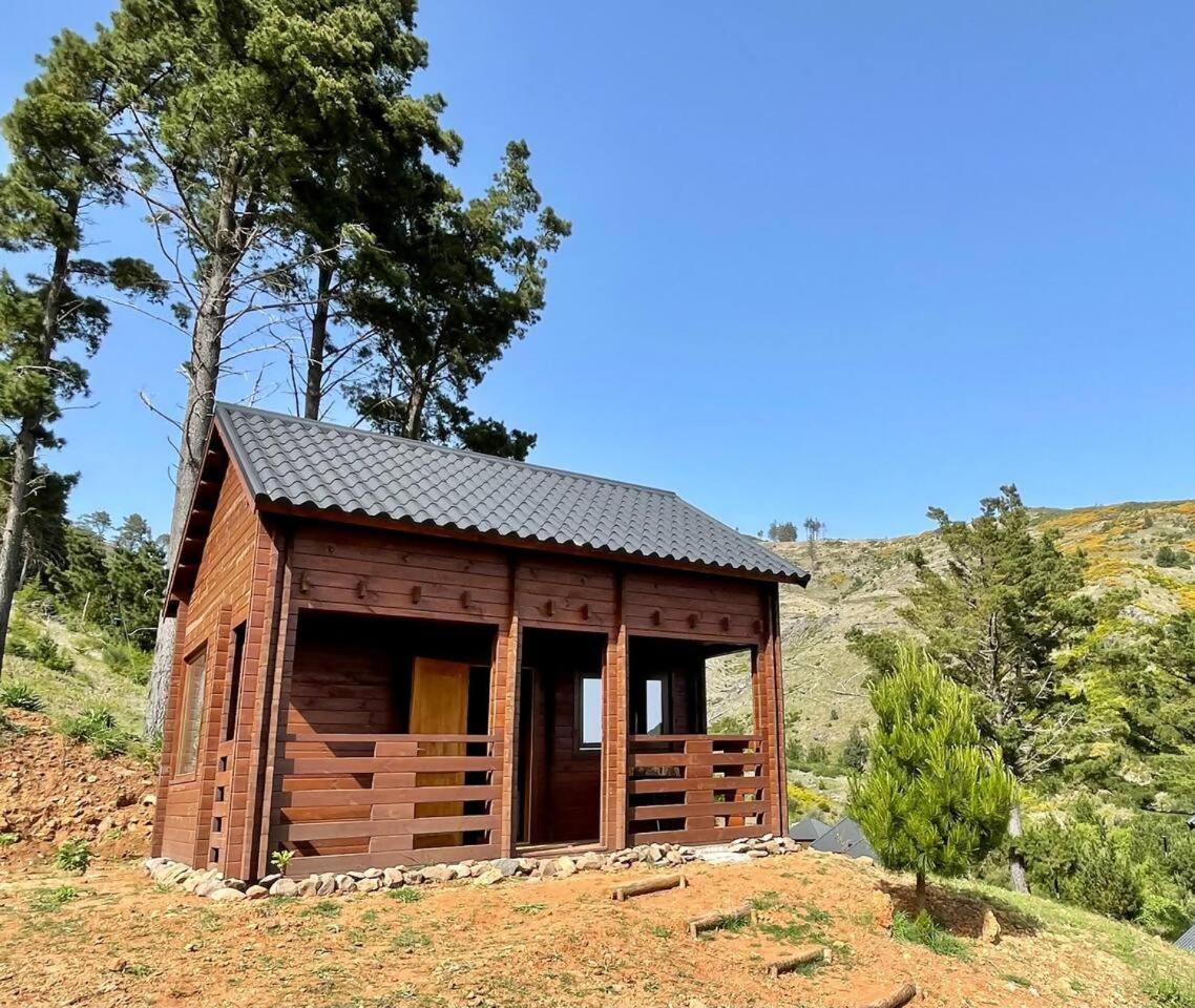Hotel Mountain Eco Shelter 6 Funchal  Zewnętrze zdjęcie