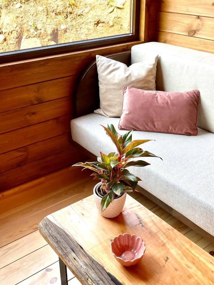 Hotel Mountain Eco Shelter 6 Funchal  Zewnętrze zdjęcie